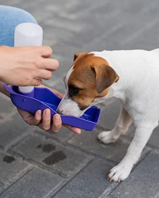 Bebedouro Portátil Pet Garrafa 500Ml - Maolee