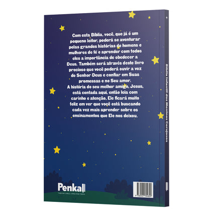 Bíblia Infantil Ilustrada | Guardiões da Arca - Maolee