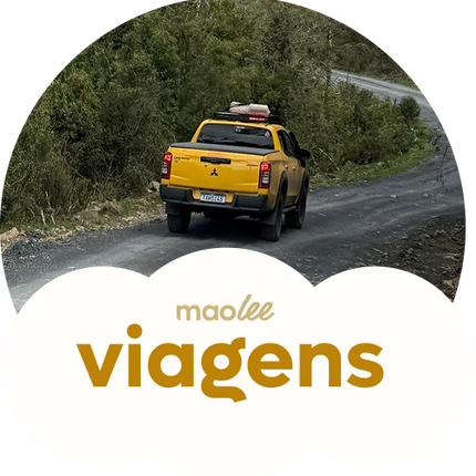 Collection image for: Viagem em Família