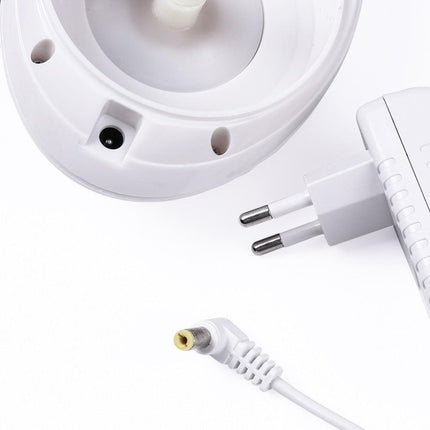 Massageador Corporal Anticelulite - Maolee