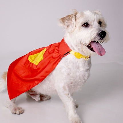 Coleira Krypto - P - Maolee